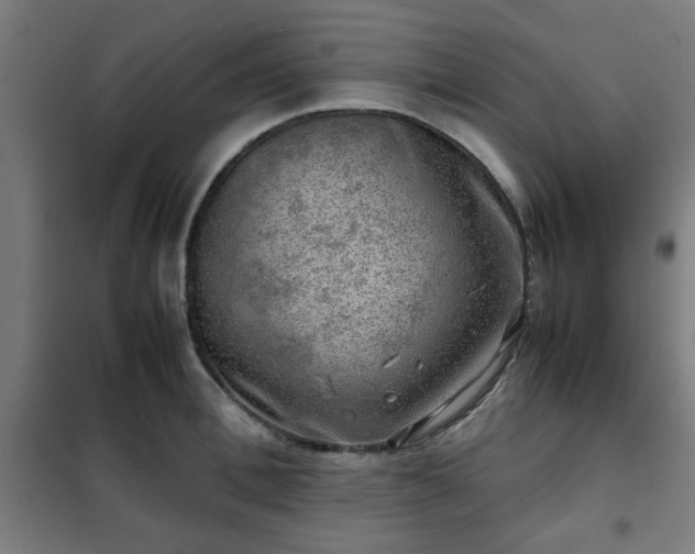 X0000102010996200807251304
