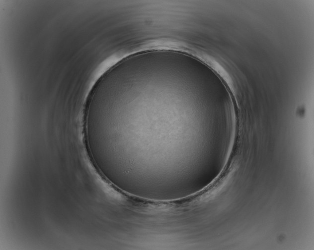 X0000102010997200807251304