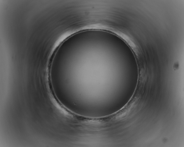 X0000102010998200807251304