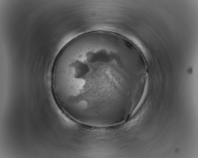 X0000102010999200807251304