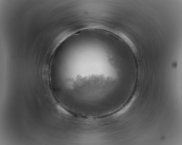 X0000102011001200807251304