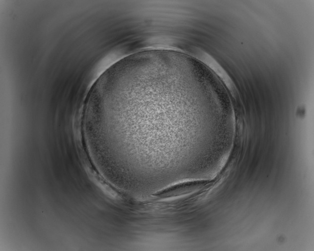 X0000102011002200807251304