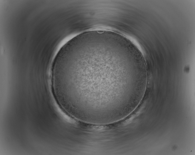 X0000102011003200807251304