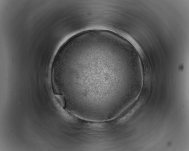 X0000102011004200807251304