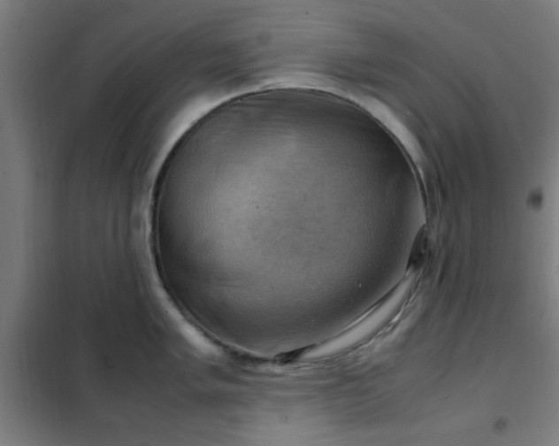X0000102011005200807251304