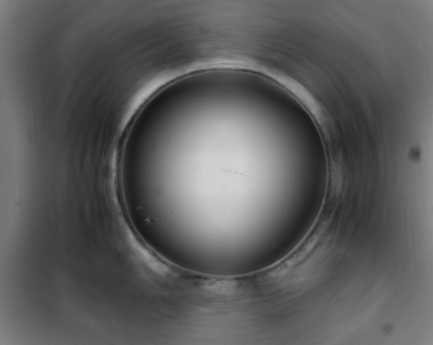 X0000102011006200807251304