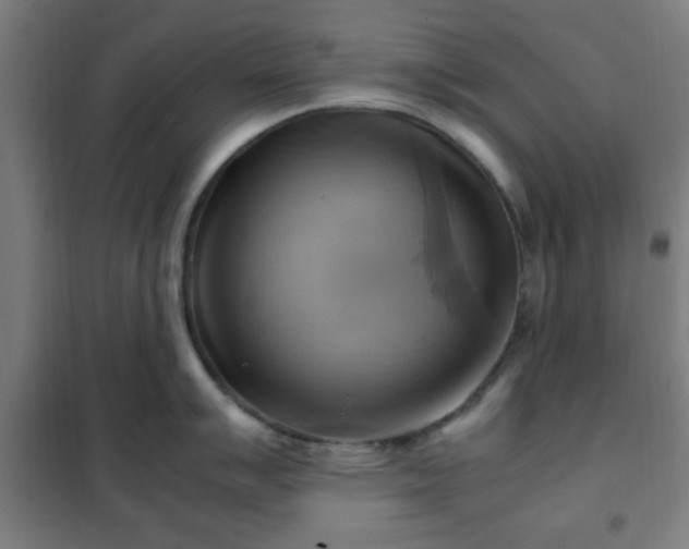 X0000102011007200807251304