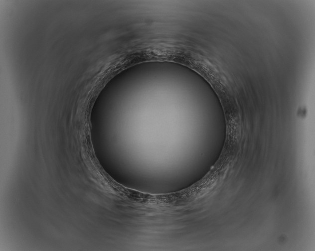 X0000102011009200807251303
