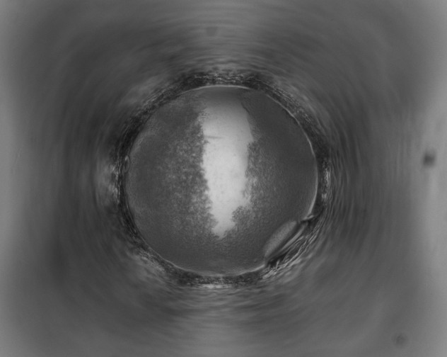 X0000102011010200807251303