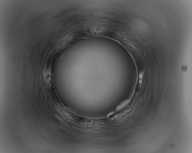 X0000102011011200807251303