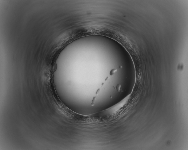 X0000102011012200807251303