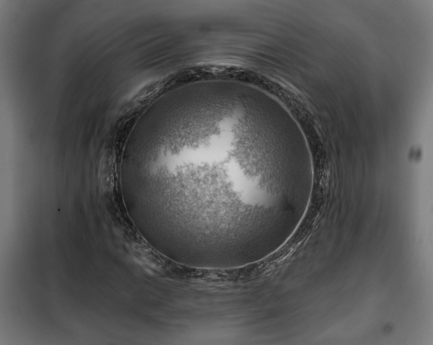 X0000102011014200807251303