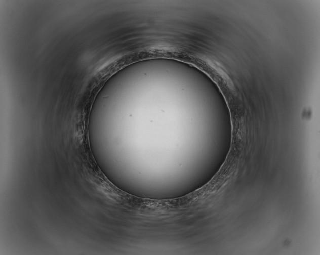 X0000102011015200807251303