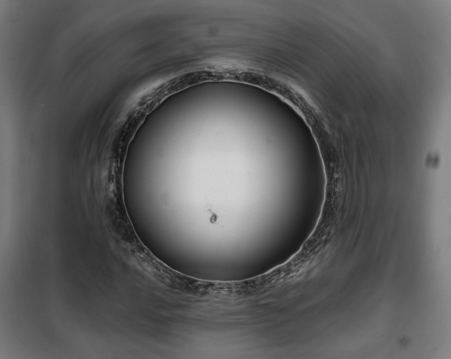 X0000102011016200807251303