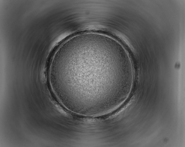 X0000102011018200807251303