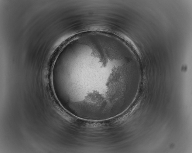 X0000102011019200807251303