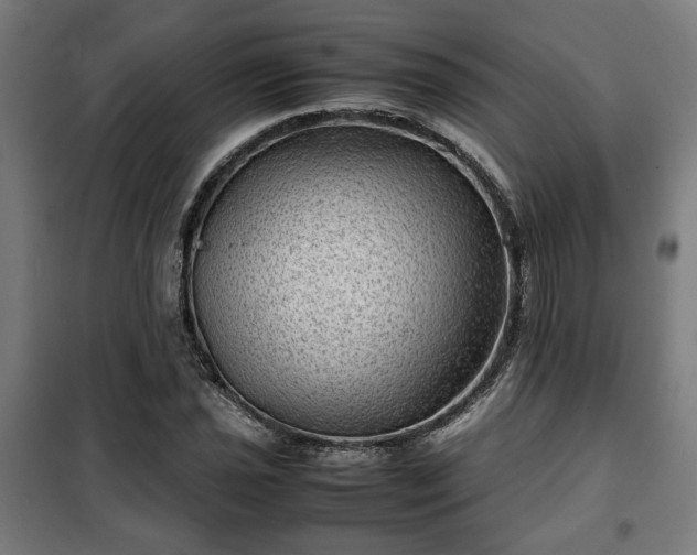 X0000102011021200807251303