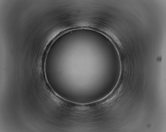 X0000102011023200807251303