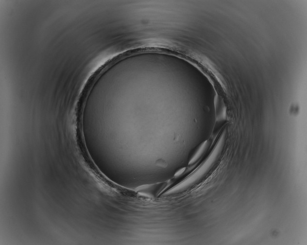X0000102011024200807251304