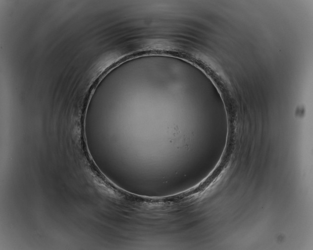 X0000102011025200807251304