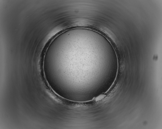 X0000102011026200807251304