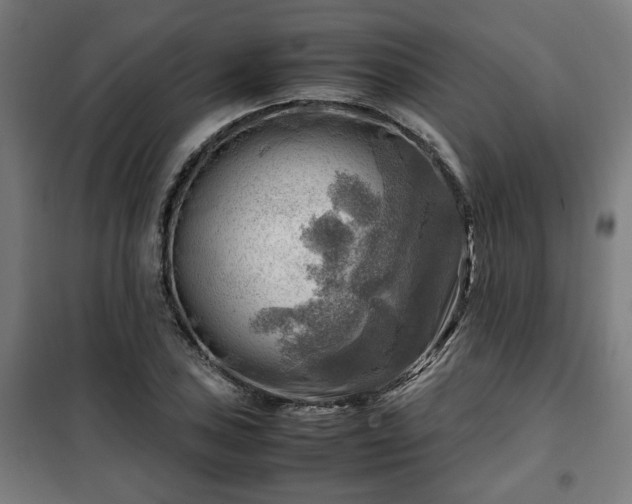 X0000102011027200807251304