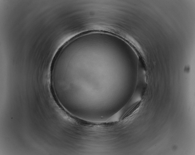 X0000102011028200807251304