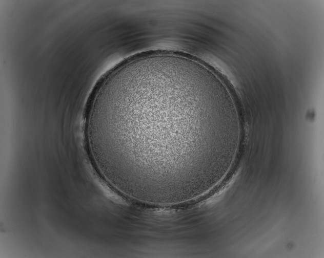 X0000102011029200807251304