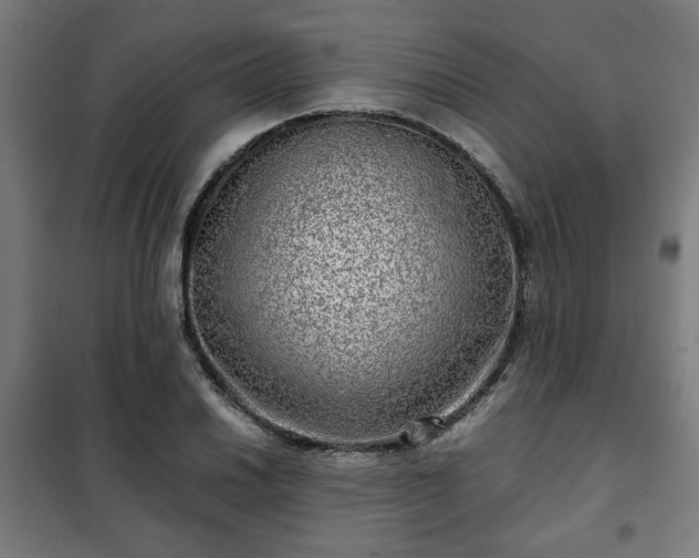 X0000102011030200807251304