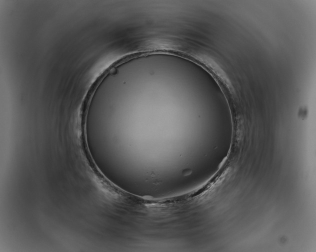 X0000102011031200807251304