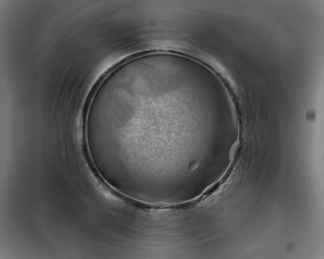 X0000102011032200807251304