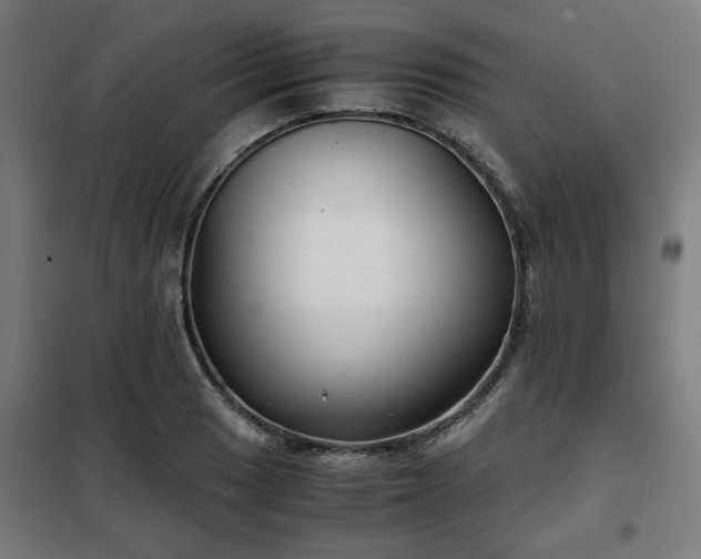 X0000102011033200807251304