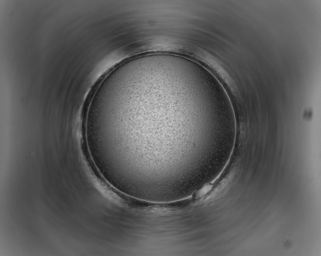 X0000102011034200807251304