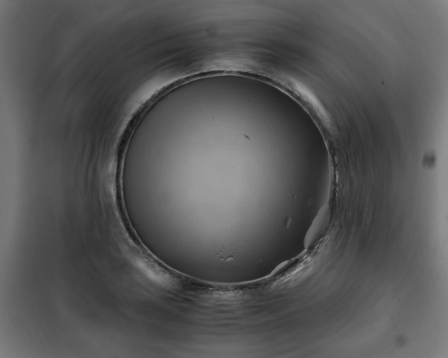 X0000102011035200807251304