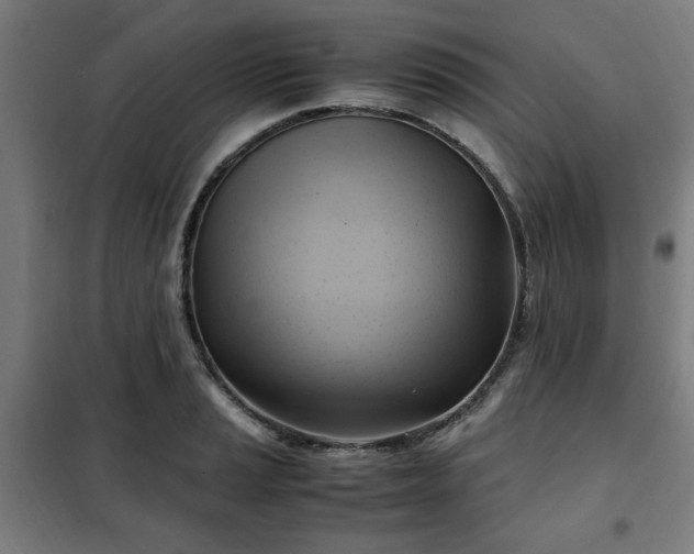X0000102011037200807251304