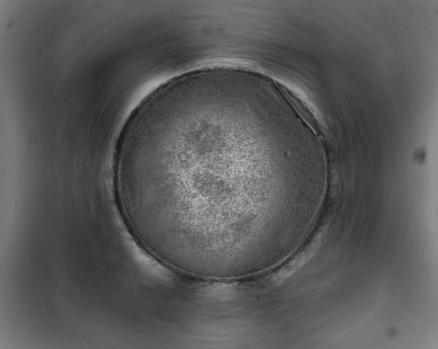 X0000102011038200807251304
