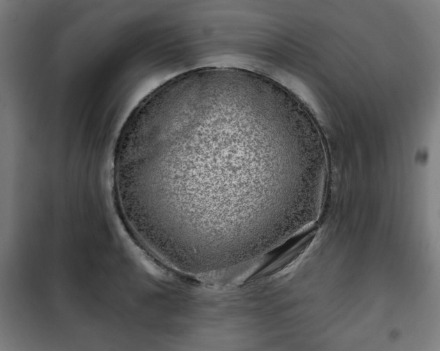 X0000102011040200807251304