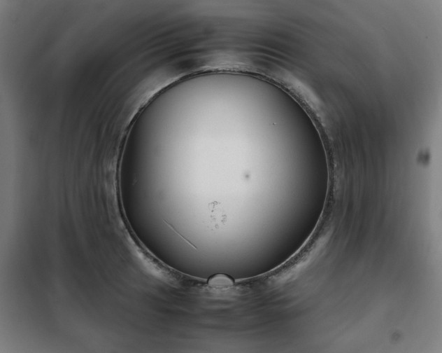 X0000102011041200807251304