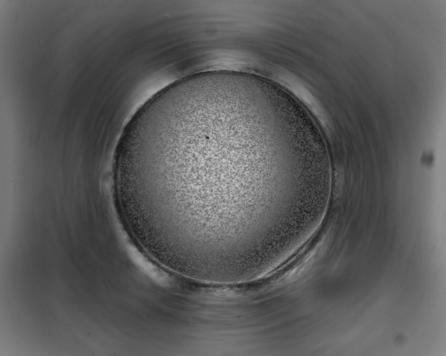 X0000102011042200807251304