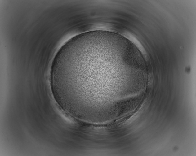 X0000102011043200807251304