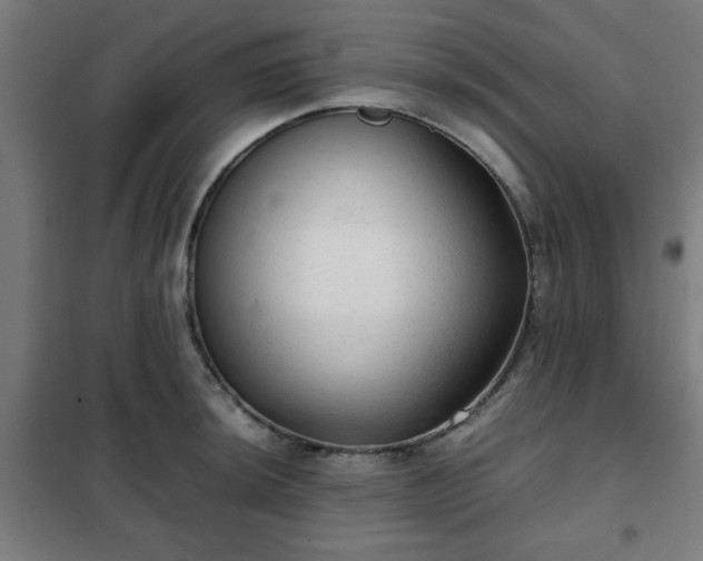 X0000102011044200807251304