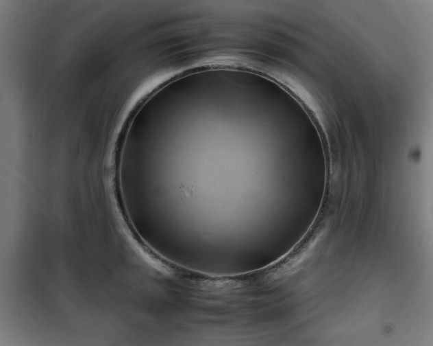 X0000102011045200807251304
