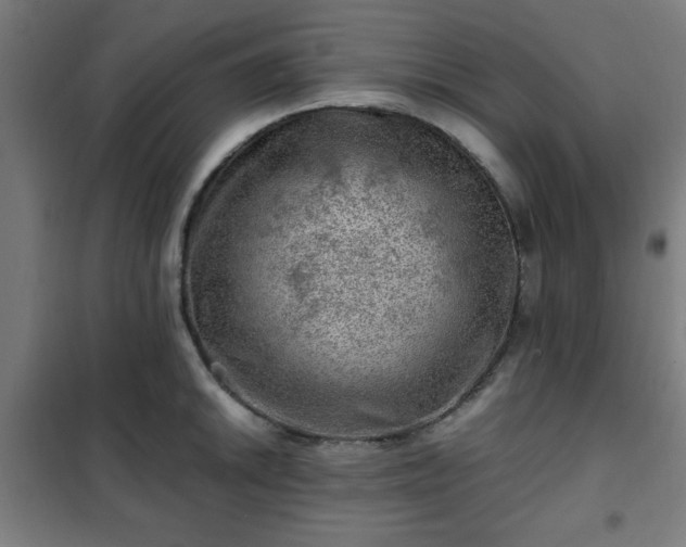 X0000102011046200807251304
