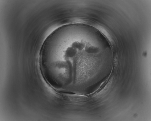 X0000102011047200807251304