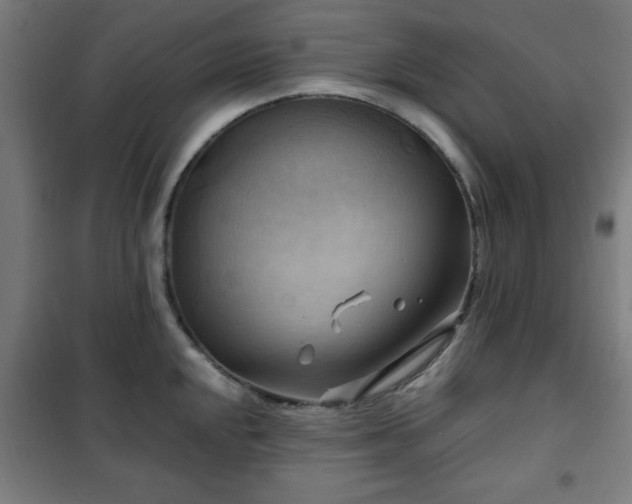 X0000102011048200807251304