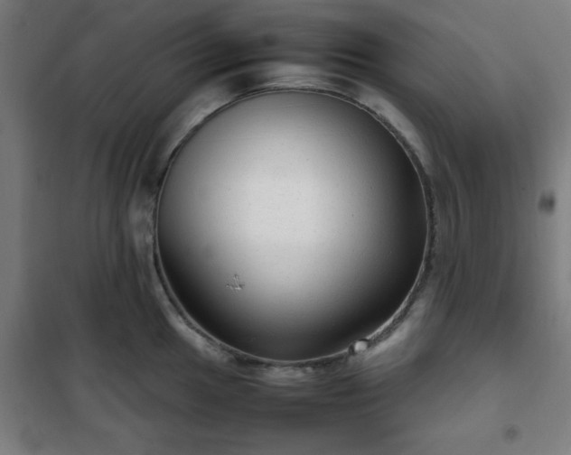 X0000102011049200807251304