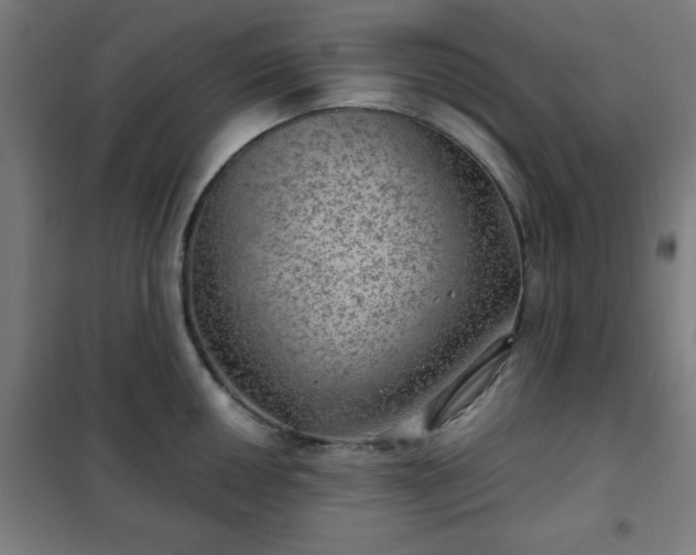 X0000102011050200807251304