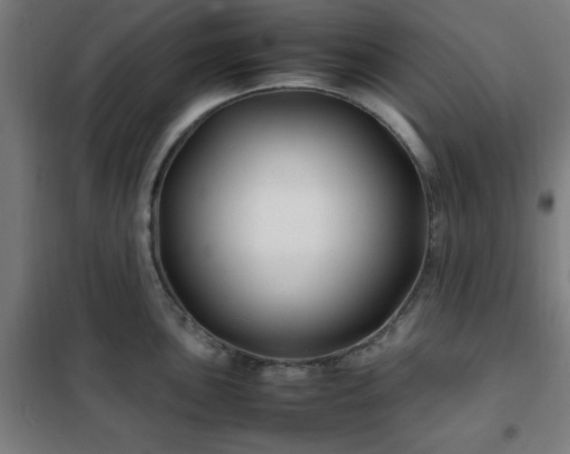 X0000102011051200807251304