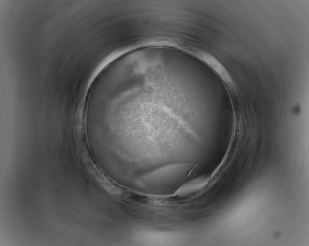 X0000102011052200807251304