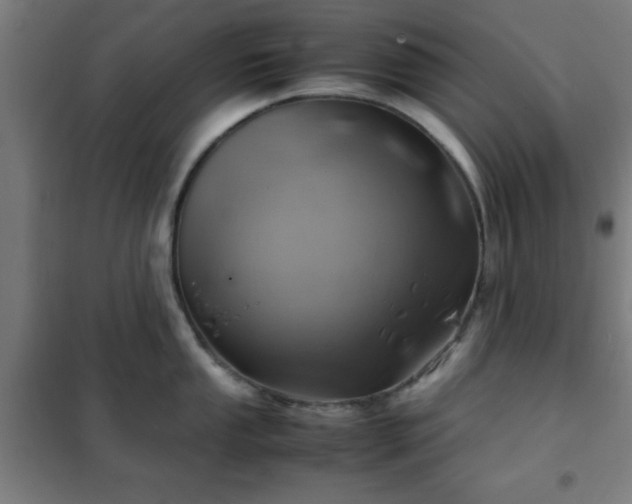 X0000102011053200807251304